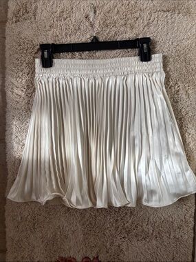 Endless Rose Pleated Satin Skirt